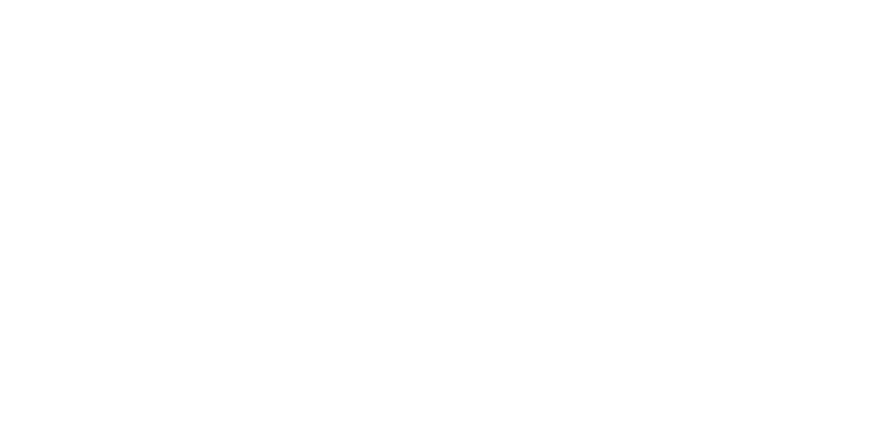 FELSA